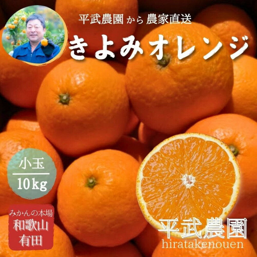 【ふるさと納税】農家直送！きよみオレンジ 小玉10kg［平武農園］～蛍飛ぶ町から旬の便り～［2026年3月下旬から順次発送予定］ | フルーツ 果物 くだもの 食品 人気 おすすめ 送料無料