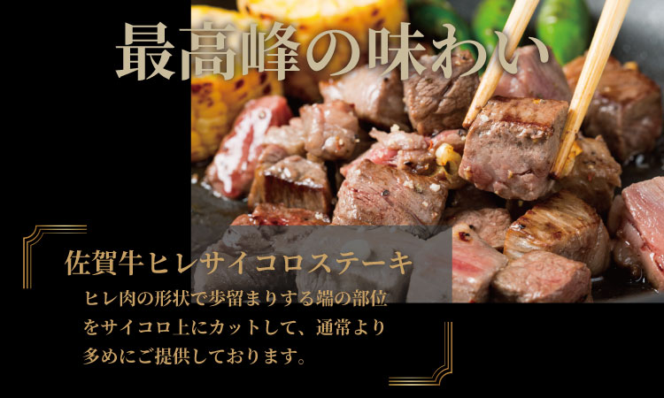 希少部位！A4 ~ A5 佐賀牛 ヒレ ステーキ セット( ヒレ ステーキ600g＆ ヒレ サイコロ ステーキ400g) 計1kg 冷凍 赤身 牛肉 希少部位 国産 お肉 ブランド牛 九州産 ブランド