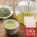 【ふるさと納税】有機煎茶！さつま茶日和540g(90g×6袋) 鹿児島 九州産 さつま茶 緑茶 日本茶 お茶 茶葉 有機栽培 【熊田製茶】