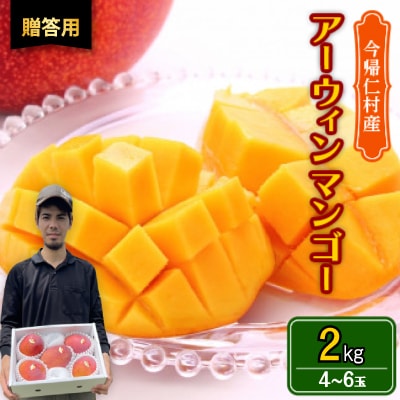 【2027年6月下旬から順次発送・贈答用】仲本マンゴー園のアーウィンマンゴー2kg(4～6玉)【配送不可地域：離島】
