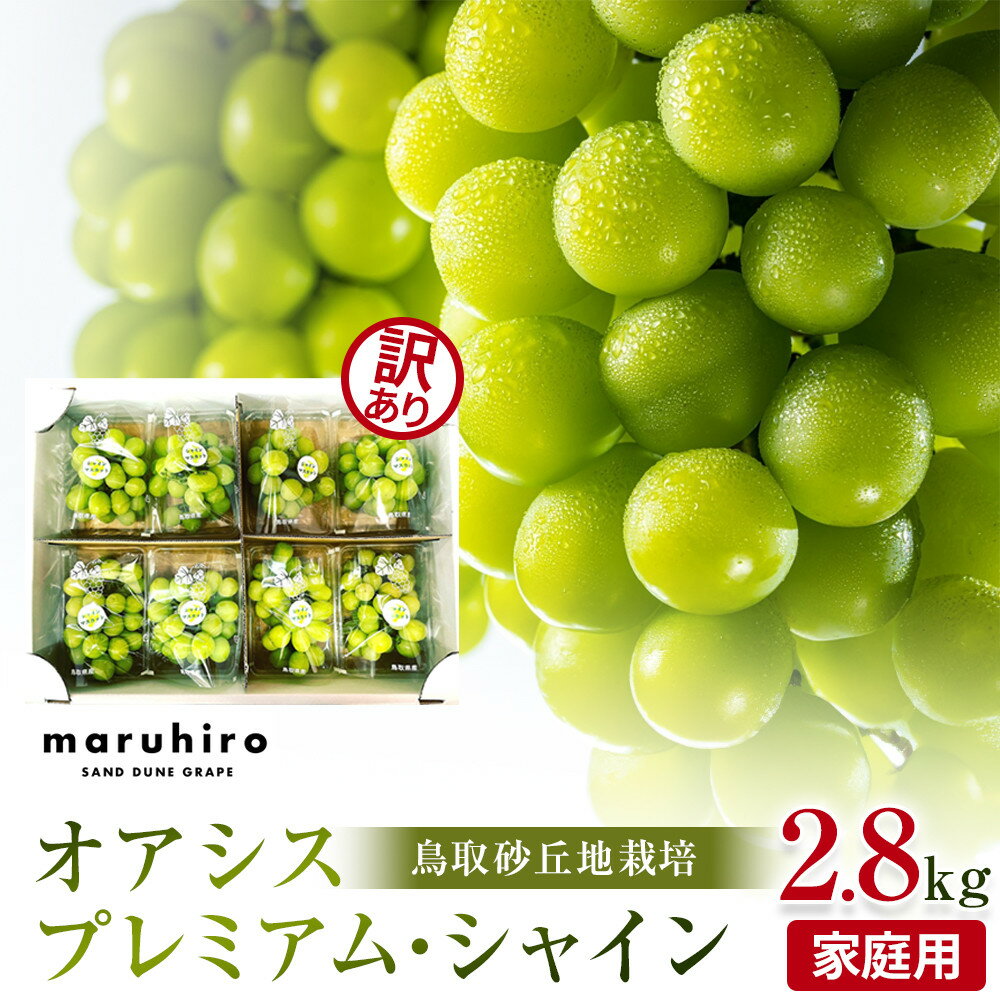 【ふるさと納税】【先行予約】シャインマスカット 訳あり 家庭用 鳥取砂丘地産 2.8kg(350g×8パック)※離島配送不可 ※2025年8月下旬頃～10月下旬頃に順次発送 | シャインマスカット マスカット 葡萄 ブドウ ぶどう 産地直送 フルーツ 果物 甘い 鳥取県 北栄町 おすすめ 人気