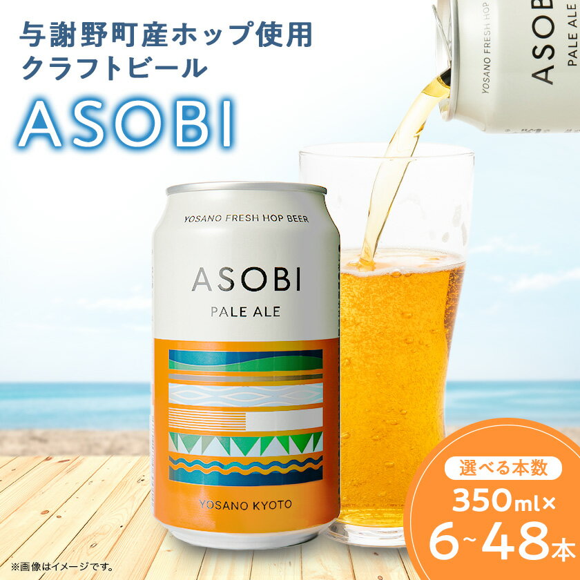 【ふるさと納税】【与謝野町産ホップ使用クラフトビール】 ASOBI(アソビ)　350ml ×6本　ペールエール【1248904】