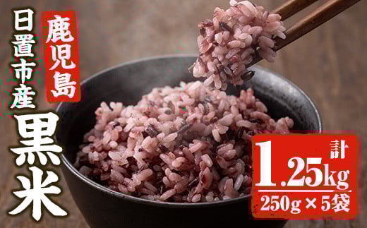 
            No.466 日置市産宮田黒米(計1.25kg・250g×5袋) 国産 九州産 お米 黒米 小分け 玄米 雑穀米 古代米 ご飯 ごはん【末永商店】
          
