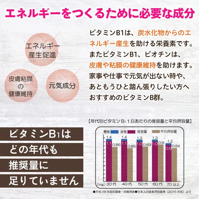 No.1300-B ＜定期便・全6回(隔月)＞ビタミンB群(2袋×6回・計12袋) 鹿児島 日置市 健康食品 サプリ 栄養バランス 食生活 安心安全 ビタミン 定期便 頒布会 【てまひま堂】