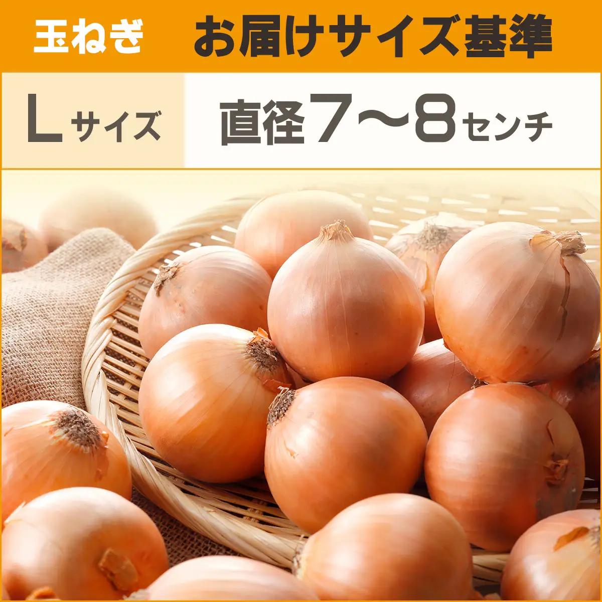 【先行予約】玉ねぎ Lサイズ 20kg 大空町産（2026年10月上旬より発送） OSR009 | 玉ねぎ