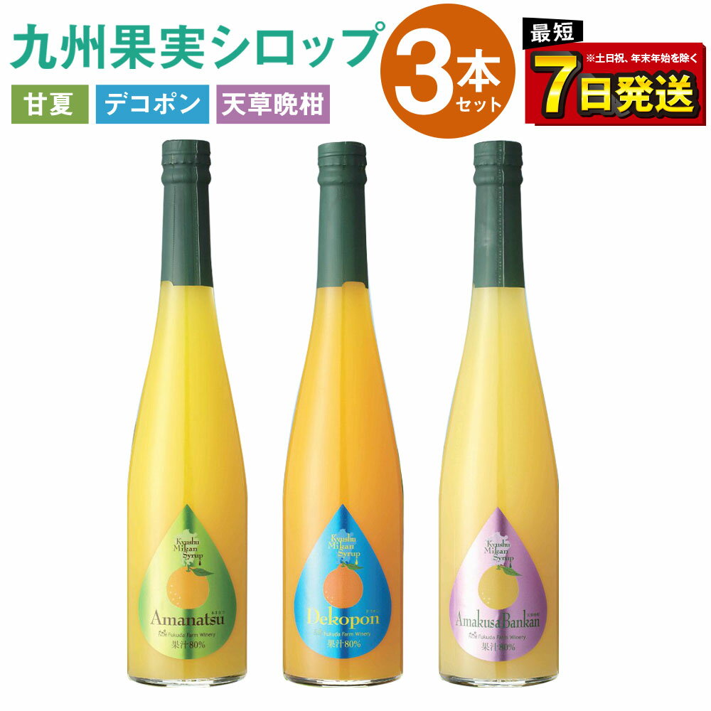【ふるさと納税】九州果実 シロップ セット （甘夏、デコポン、天草晩柑）500ml×3本（各1本） 果物 くだもの フルーツ 柑橘 割り材 酎ハイ ハイボール カクテル 福田農場 熊本県産 九州産 国産 年内発送 送料無料