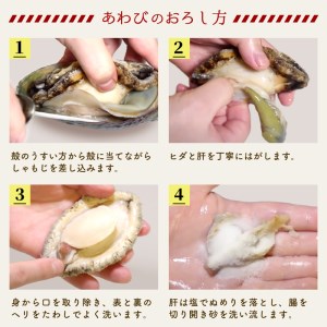 活あわび 大サイズ 8個 約1.1kg 冷蔵 あわび