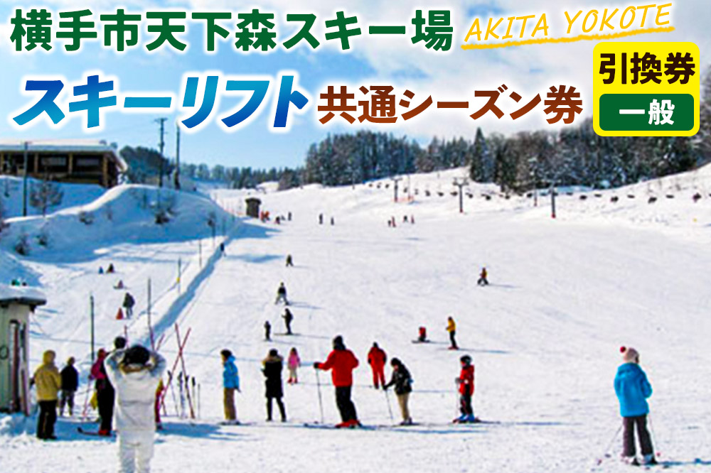 横手市天下森スキー場 スキーリフト共通シーズン券（一般）引換券 ゆうパケット [スキー場 リフト券 秋田県 横手市 ゲレンデ]
