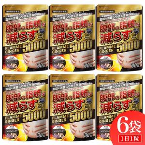 ブラックジンジャー サプリメント フラムジンジャー 機能性表示食品 6袋セット◇