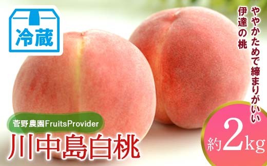 【2026年出荷分先行予約】<冷蔵配送>福島県産 川中島白桃 約2kg (5～7玉) 菅野農園FruitsProvider 白桃 大玉 伊達の桃 桃 フルーツ 果物 もも モモ momo F21C-265