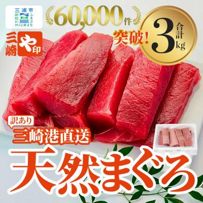ふるさと納税 三浦市 【訳あり】これを選べば間違いなし!とにかくたくさん食べたい人に!三崎の天然鮪3kg