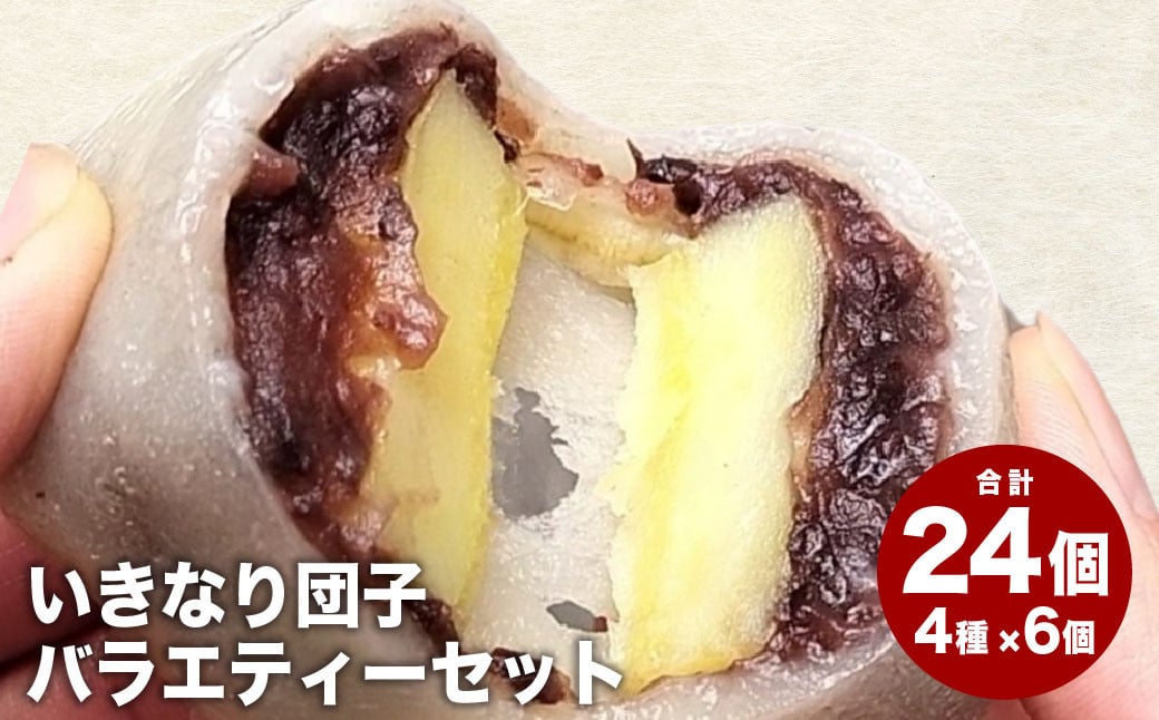 
            熊本上天草 にのやのいきなり団子バラエティーセット 4種×各6個 合計24個 いきなりだんご いきなり団子 だんご 団子 餡子 スイーツ お菓子 和菓子 おやつ デザート 冷凍 熊本県 上天草市
          