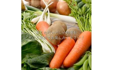 【6ヶ月定期便】野菜と加工品「なだろう」セレクトボックス