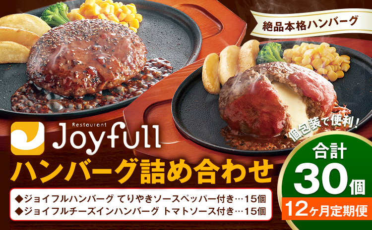 【12ヶ月定期便】ジョイフルハンバーグ アソート詰め合わせ チーズインハンバーグ てりやきペッパーハンバーグ 合計30個 2種類×各15個 定期便 亀井通産株式会社《30日以内に出荷予定(土日祝除く)