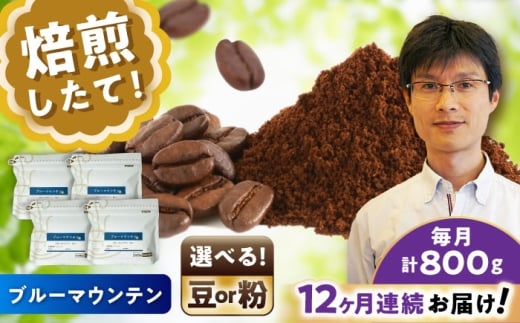 【全12回定期便】ブルーマウンテンNo.1　コーヒー粉　200g×4個(粉/中挽き)  / コーヒー  ドリップ  粉 / 瀬戸市 / Ｃｏｆｆｅｅ　ＳＡＫＵＲＡ [BBAB097]