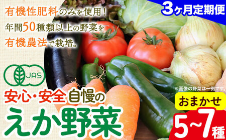 【毎月定期便３回】えか野菜 おまかせ5～7種セット 有機JAS認定 株式会社えか自然農場 千葉県 流山市 オーガニック 無農薬 化学肥料不使用 旬 送料無料