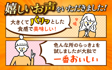【びっくり大粒】北海道広尾町の昆布仕込み！さいかいらっきょ艶づけ（甘酢漬け）1.8kg（600g×3P）＜道の駅さいかい みかんドーム＞ [CAI020]