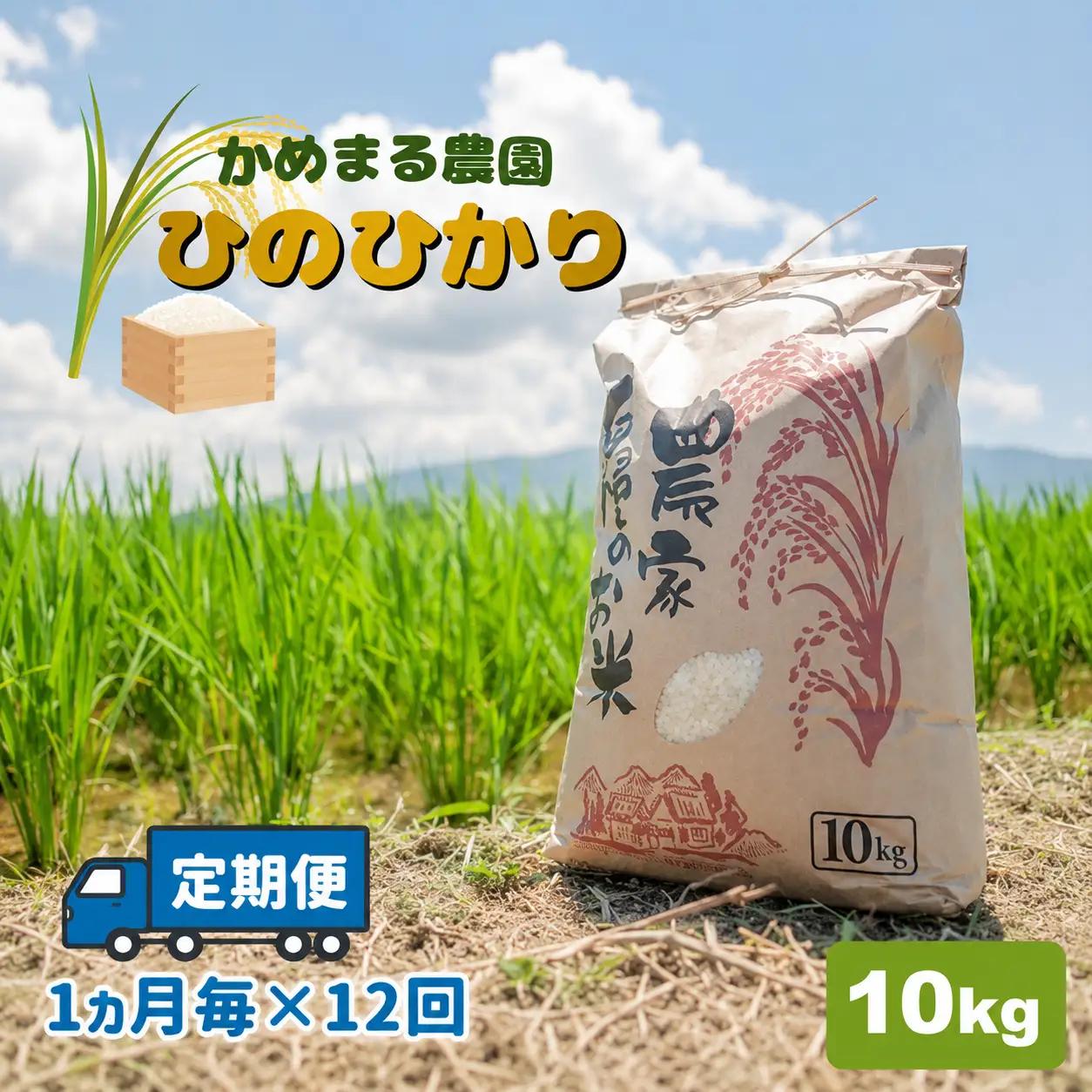 【定期便12回】米 ひのひかり 10kg×12回 | かめまる農園