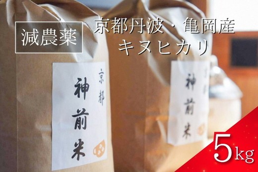 
                  米 5kg 京都・神前米 キヌヒカリ ☆精米したてをお届け ≪減農薬 自家栽培米 生産農家 直送 令和7年産 白米 米 精米 クリーン白米≫
                