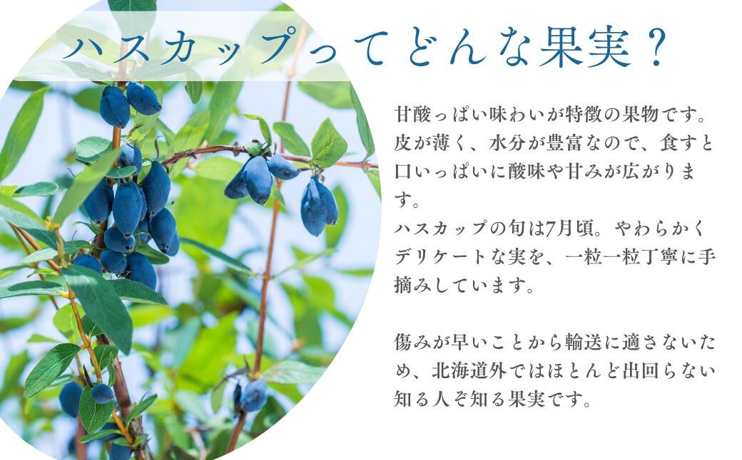 ハスカップ ゆうしげ あつまみらい R7年産 フルーツ 果物 冷凍 北海道