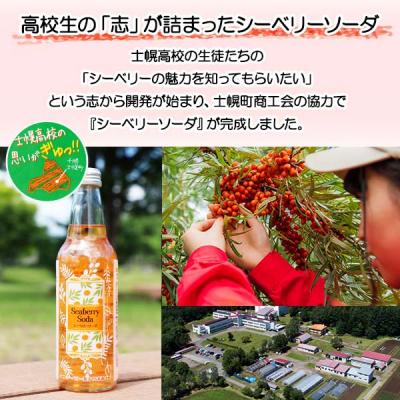 ふるさと納税 士幌町 シーベリーソーダ 330ml×10本  士幌高校生開発 サジー 十勝 士幌町【C01】 |  | 02