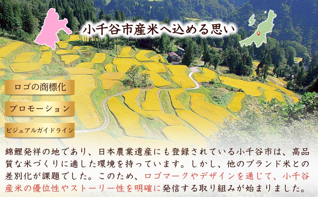 令和7年産 魚沼産コシヒカリ 小千谷市ブランド認証米「錦の実り」Aランク 精米15kg (5kg×3袋)【0002-OBa13-02】