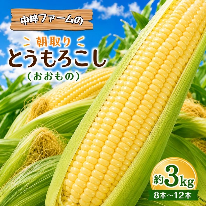 【ふるさと納税】 とうもろこし 中埣ファームの朝採りとうもろこし「おおもの」約3kg(8～12本) / トウモロコシ 農家直送