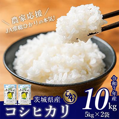 ふるさと納税 下妻市 茨城県産 コシヒカリ 10kg(5kg×2袋)【令和7年産/精米】 お米