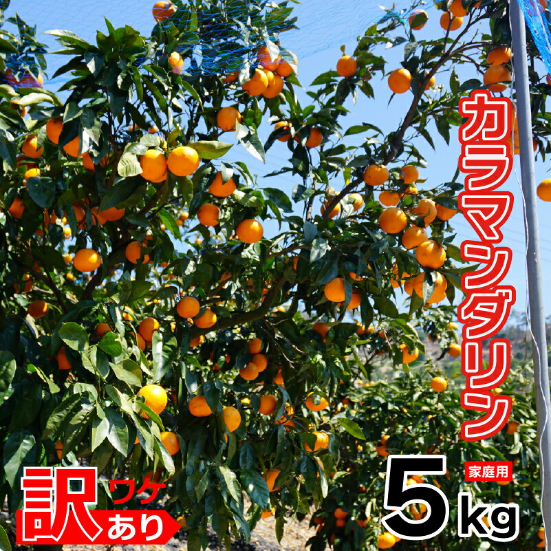 【ふるさと納税】 【2027年3月下旬頃から順次発送】訳ありカラマンダリン 約5kg 家庭用 ｜産地直送 国産 柑橘 期間限定 数量限定 ご当地 愛媛県 松山市 OCファーム