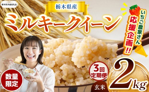 【栃木県共通返礼品】【先行予約】【定期3回】 訳あり 数量 限定 定期便 令和8年度産 ミルキークイーン 約 2kg | とちぎの星 ミルキークイーン 玄米 白米 ごはん おいしい ふるさと納税 栃木県 那珂川町 送料無料