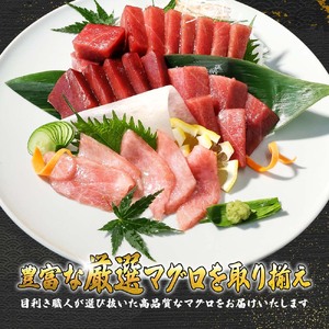 【大トロ】本マグロ 500g 大トロ [BQAA035]