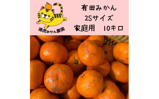 
訳あり温州みかん 家庭用 10kg（SSサイズ） 小さなミカンが好きな人におすすめ
