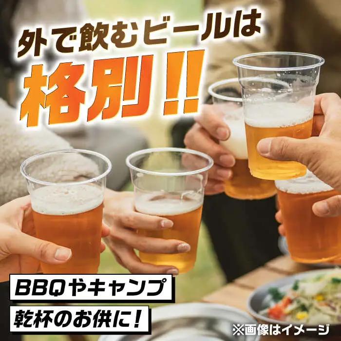 【全12回定期便】吉野ヶ里町産クラフトビール GAME BREW CONTINUE?/コンティニュー 350ml×6本セット 計72本 吉野ヶ里町/西研グラフィックス[FDG004]