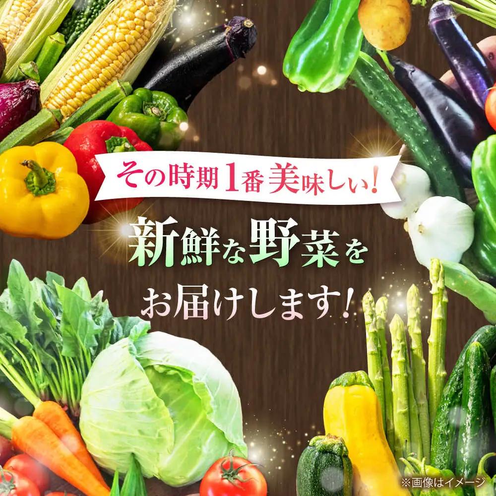 全6回定期便 旬の 野菜 セット 約3kg 野菜 7-8品程度 BHAK025