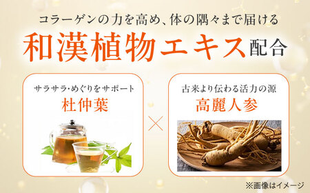 〈健康美容食品〉エクイタンス インナーリッチコラーゲン[AOAD047] 美容食品