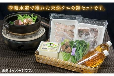 《冷蔵》 天然クエ 鍋セット（2～3人前）《壱岐市》【一支國屋】[JCC001] クエ くえ クエ鍋 海鮮鍋 天然クエ 鍋 アラ アラ鍋 29000 29000円 冷蔵配送