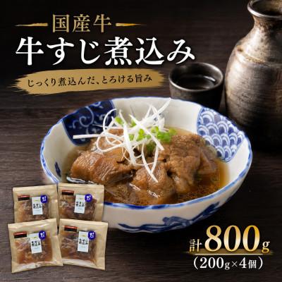 ふるさと納税 みやま市 国産牛・牛すじ煮込み 計800g(200g×4個)