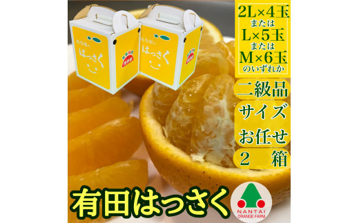
                  ［2箱セット］ 手さげ箱 手詰め 有田 はっさく 2L ~ M 4~6玉入 ちょっと 傷あり 南泰園 みかん
                