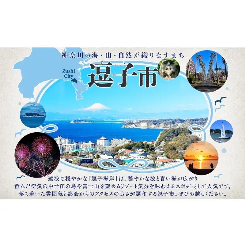 渚マリーナ 陸置保管料 出艇料 修理代 割引チケット 利用券 90000円分 クルーザー ボート 船 プレジャーボート マリンレジャー レジャー アクティビティ 小坪マリーナ 神奈川県 逗子市