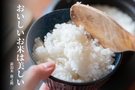【令和7年産】3ヶ月定期便 特別栽培米 新之助 4kg (2kg×2袋)×3回 米杜氏 壱成  白米 精米 大粒 つや 光沢 弾力 芳醇 新潟県 米 こめ コメ 1H42046