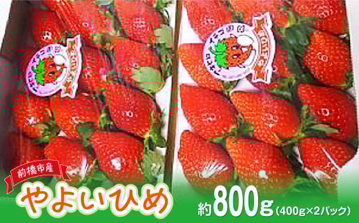 【2026年 先行予約】やよいひめDX 約400g ×2パック（箱入り）800g｜朝採れ やみつき高品質 たっぷり 贈答用 新鮮 完熟 いちご 旬 苺 ストロベリー 高級 産地直送 果汁 甘い あまい 人気 高評価 高糖度 ごほうび プレゼント 群馬県 前橋市 R-20