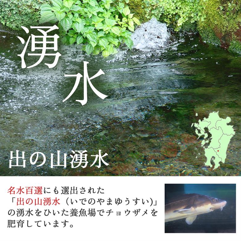 【純国産キャビア】オシェトラキャビア 80g 皇帝の涙 国産 チョウザメ 魚卵 宮崎県 小林市