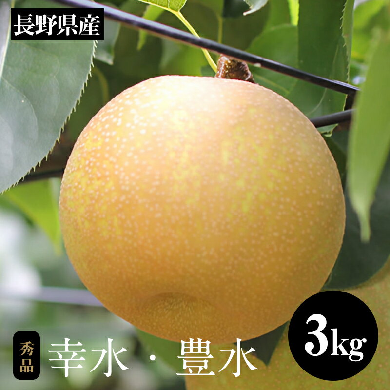 【ふるさと納税】溢れる果汁 ジューシーな梨(幸水・豊水) 約3kg 秀品〈2025年8月下旬～9月下旬発送〉| 果物 くだもの フルーツ 梨 和梨 幸水 豊水 長野県 信州 南信州 飯田市 B26
