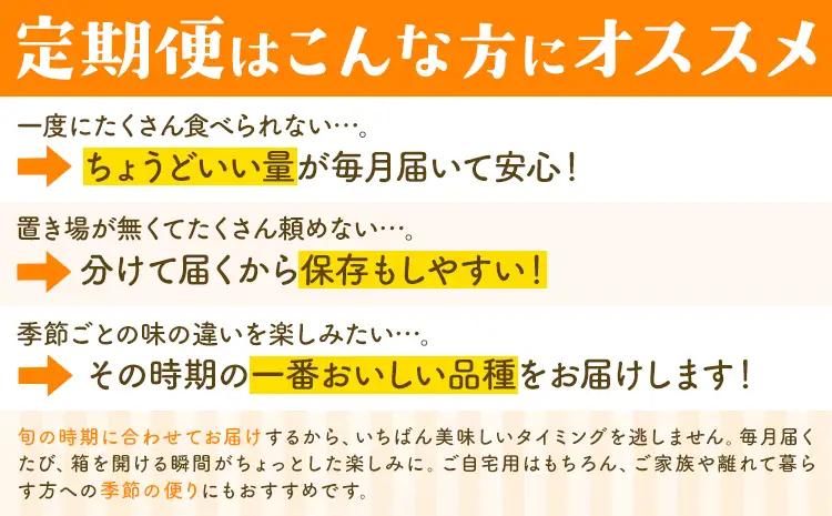 【3か月定期便】 先行予約 赤秀 みかん 旬 柑橘 蜜柑 鶴田農園 約5㎏×3回 《11月上旬-1月下旬頃出荷》極早生 早生 中生 晩生 フルーツ 果物 秋 旬 熊本県 荒尾市産 贈答 ギフト オレン