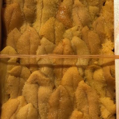 ふるさと納税 八幡浜市 八幡浜発!竹中水産の「宇和海産上質お手軽生ウニ」3枚セット!【G22-219】 |  | 01