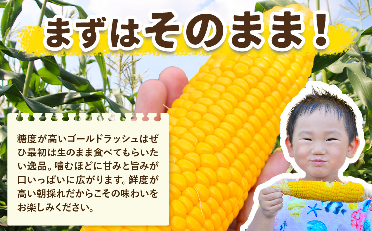 訳あり とうもろこし 約3kg 野木町産 老沼 利治《6月中旬-7月中旬頃出荷予定》栃木県 野木町 ジューシー 生食可能 旬の野菜 健康食 バーベキュー 焼き 茹で わけあり とうもろこし ゴールドラ
