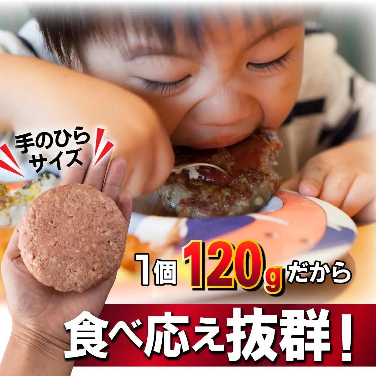 佐賀牛入り生ハンバーグ120g×24個  FN-Limited-VO