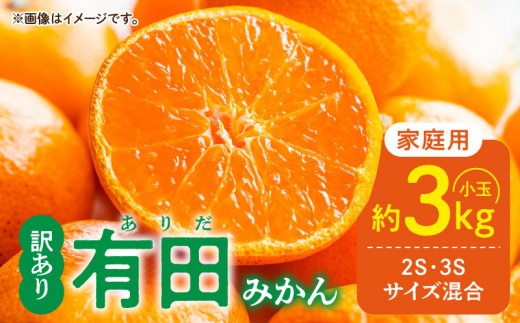 
                  【ふるさと納税】【2026年先行予約】ご家庭用 有田みかん 和歌山 小玉(2S,3Sサイズ混合) 約3kg_DZ6033
                