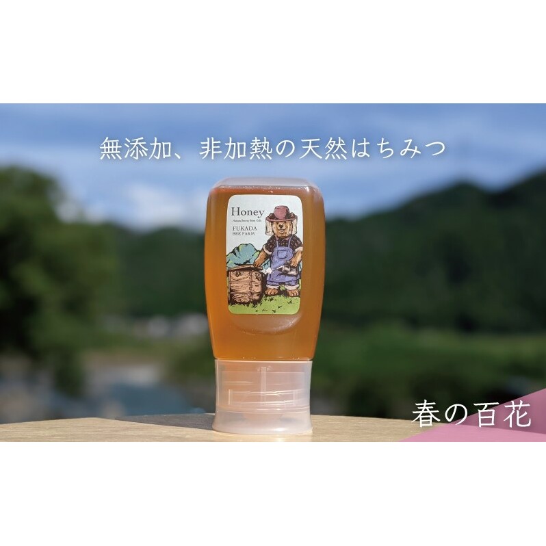 【先行予約 2025年6月20日より発送】合計300g 天然蜂蜜 国産蜂蜜 非加熱 生はちみつ 岐阜県 美濃市産 春 (蜂蜜300g入りピタッとボトル1本)A9 深田養蜂のハチミツ_イメージ1