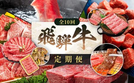【定期便 全10回 】飛騨牛| 牛肉 定期便 ZZ017
